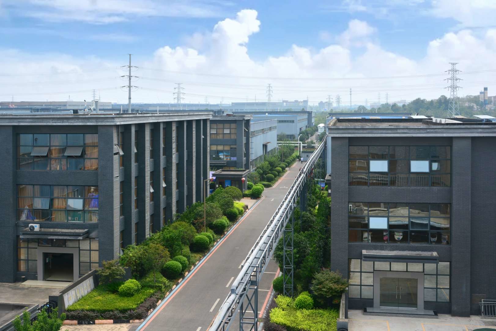 jakość Enzymy przeznaczone do stosowania w żywności fabryka